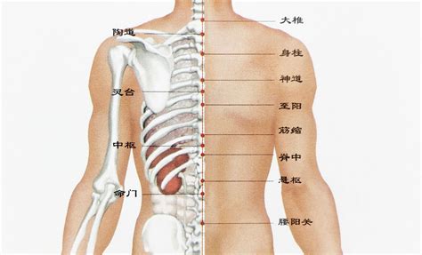 背部很多痣|背后长好多痣是什么原因